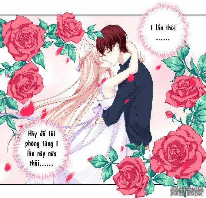 Dụ Hoặc Miêu Yêu - Chapter 15 - Trang 19