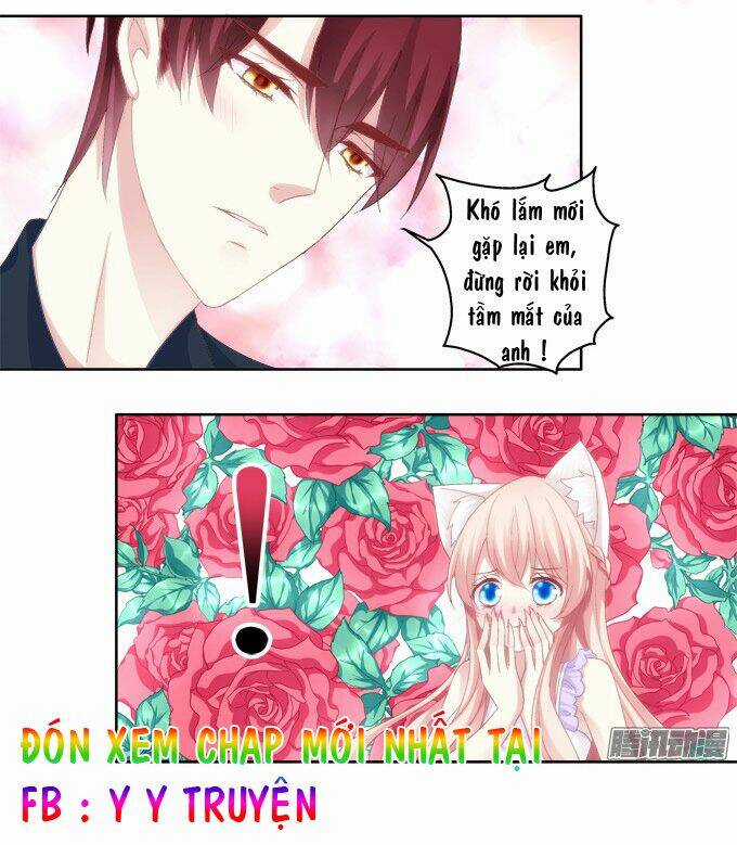 Dụ Hoặc Miêu Yêu - Chapter 15 - Trang 33