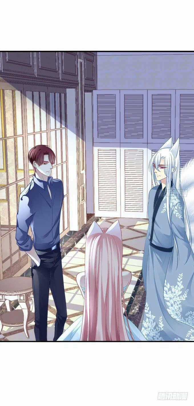 Dụ Hoặc Miêu Yêu - Chapter 150 - Trang 2