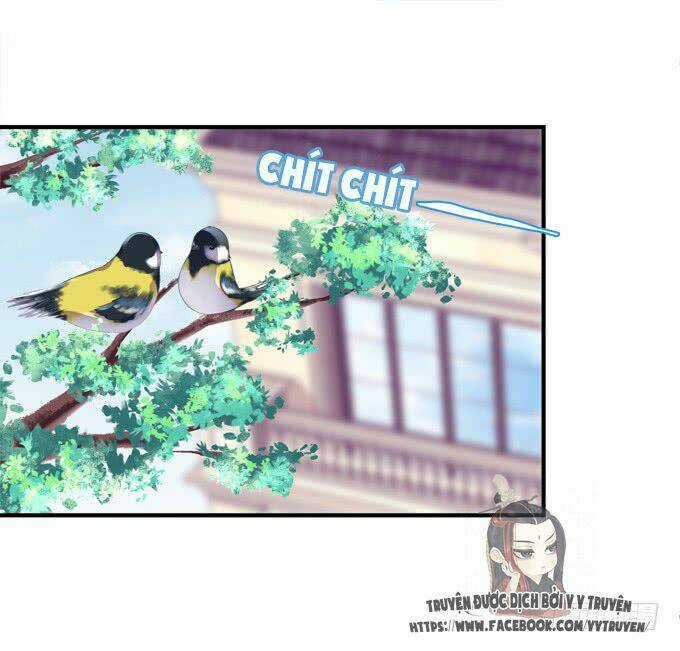 Dụ Hoặc Miêu Yêu - Chapter 158 - Trang 37