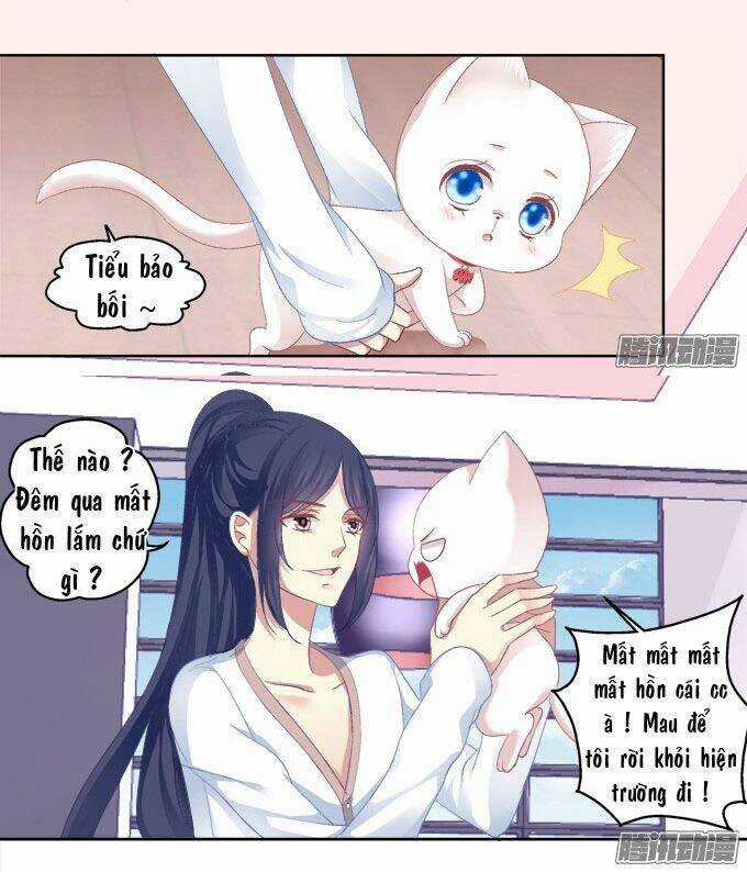 Dụ Hoặc Miêu Yêu - Chapter 16 - Trang 19