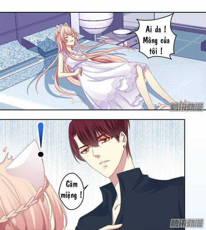 Dụ Hoặc Miêu Yêu - Chapter 16 - Trang 8