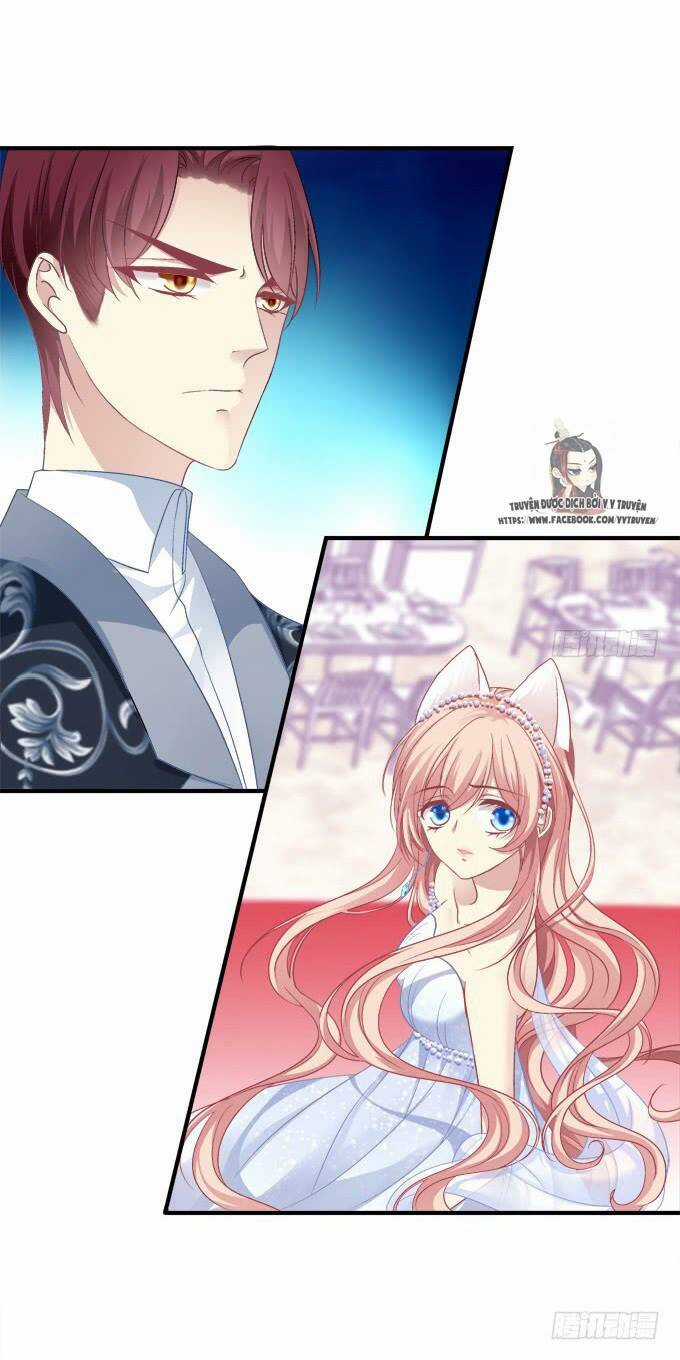 Dụ Hoặc Miêu Yêu - Chapter 169 - Trang 11