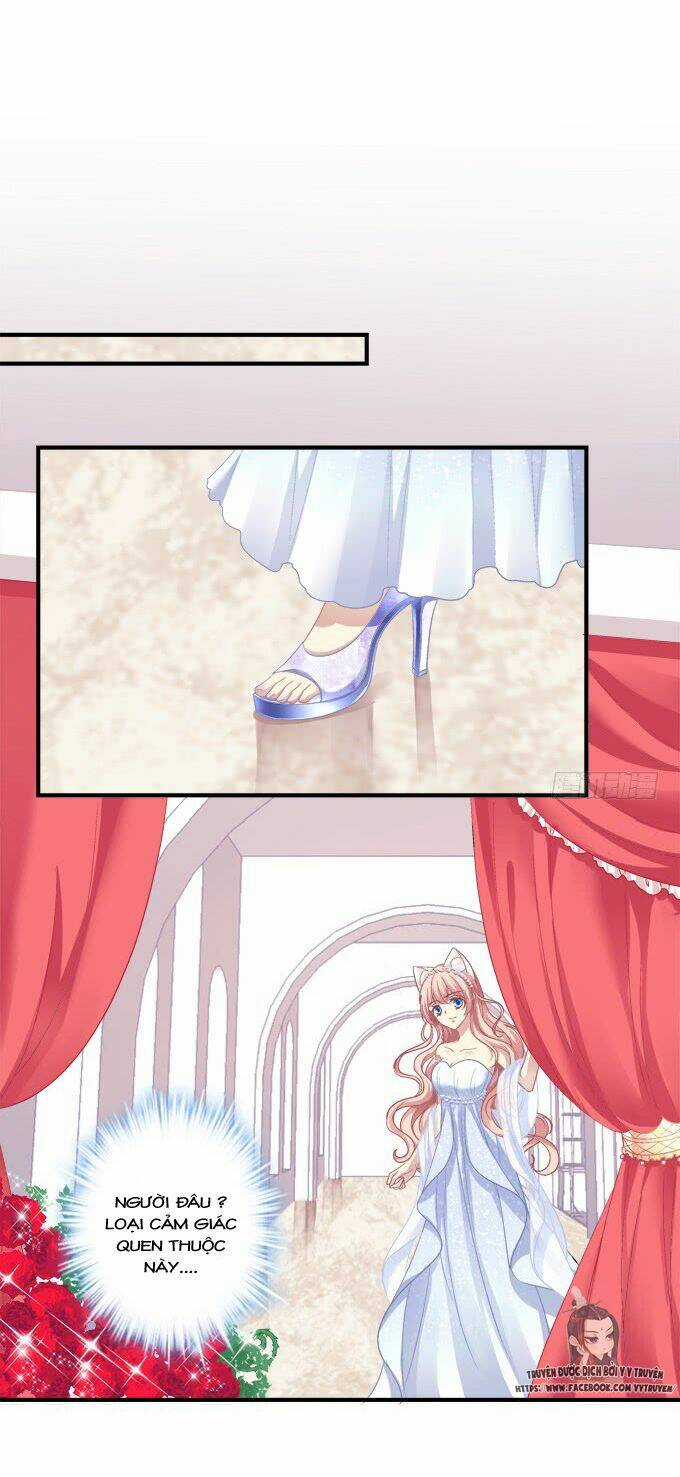 Dụ Hoặc Miêu Yêu - Chapter 169 - Trang 35