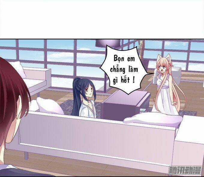 Dụ Hoặc Miêu Yêu - Chapter 17 - Trang 2