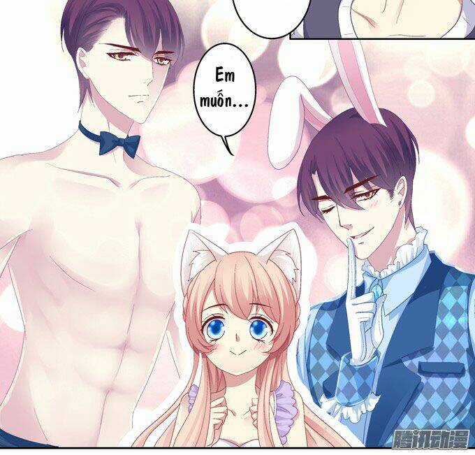 Dụ Hoặc Miêu Yêu - Chapter 17 - Trang 15