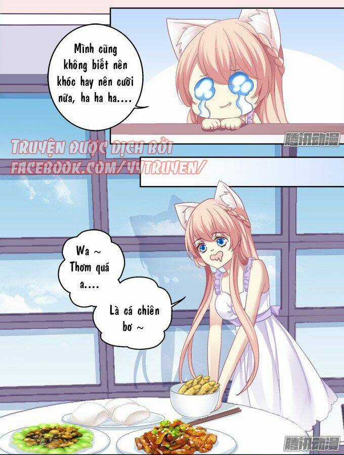 Dụ Hoặc Miêu Yêu - Chapter 17 - Trang 9