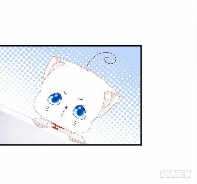 Dụ Hoặc Miêu Yêu - Chapter 170 - Trang 11