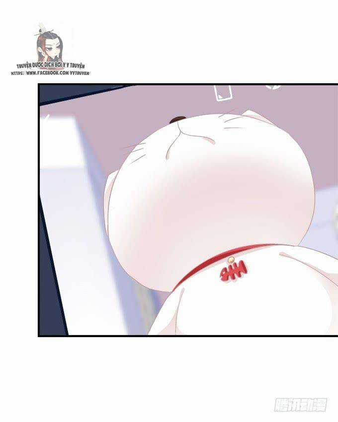 Dụ Hoặc Miêu Yêu - Chapter 170 - Trang 22