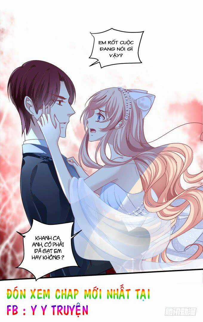 Dụ Hoặc Miêu Yêu - Chapter 178 - Trang 29