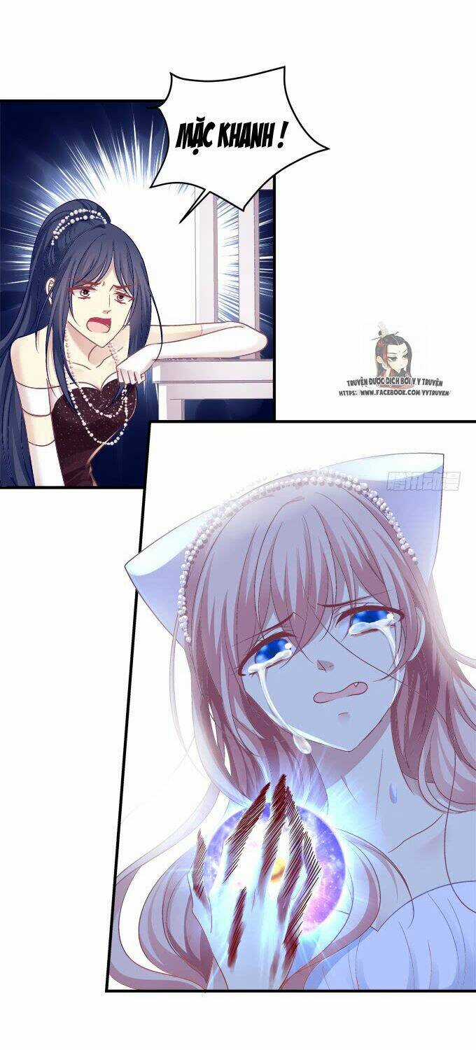Dụ Hoặc Miêu Yêu - Chapter 179 - Trang 25