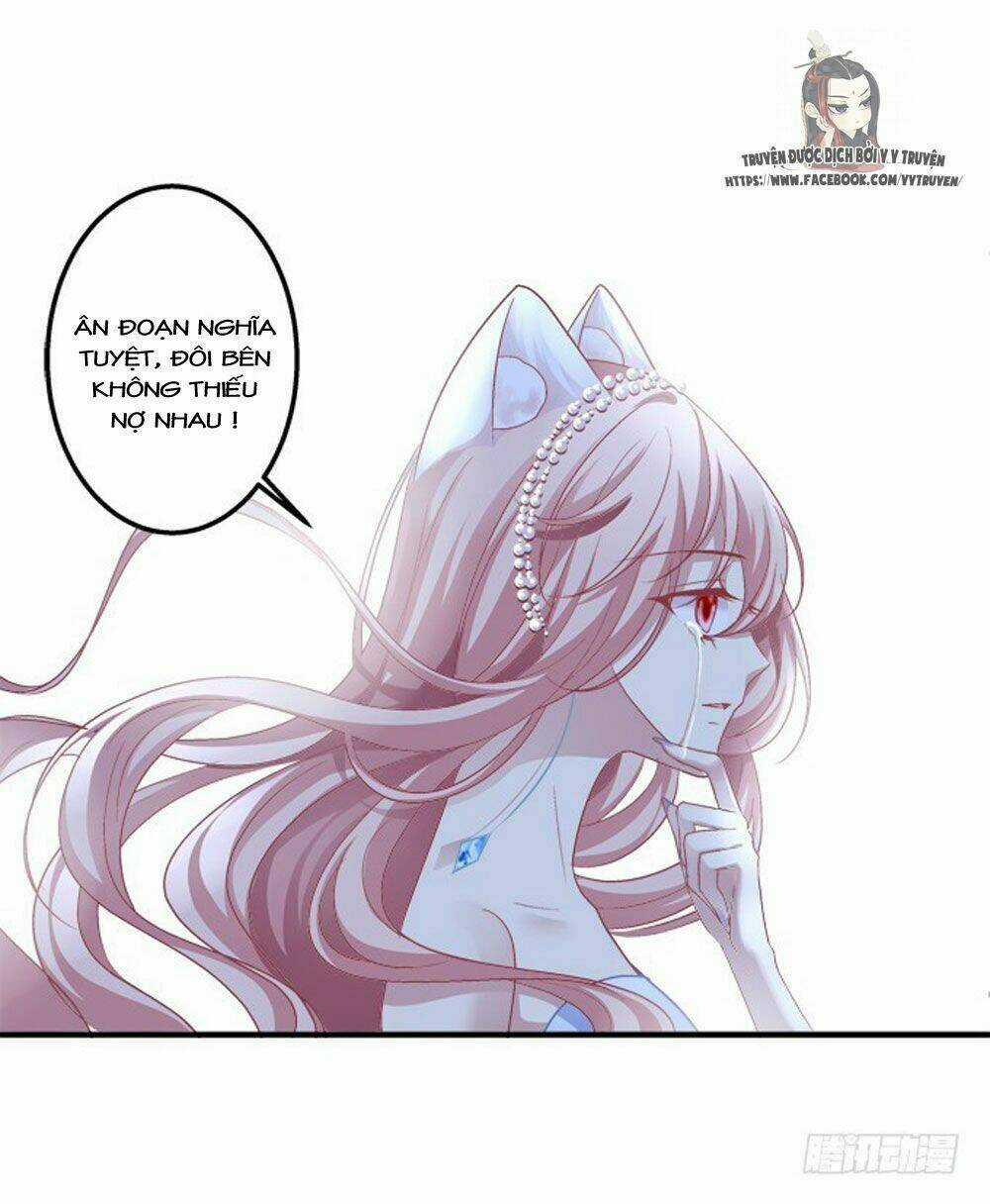 Dụ Hoặc Miêu Yêu - Chapter 180 - Trang 14