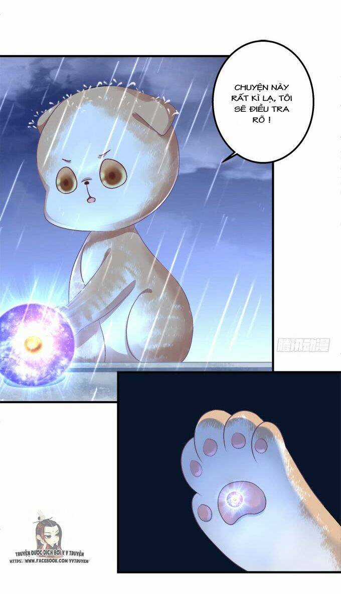 Dụ Hoặc Miêu Yêu - Chapter 182 - Trang 10