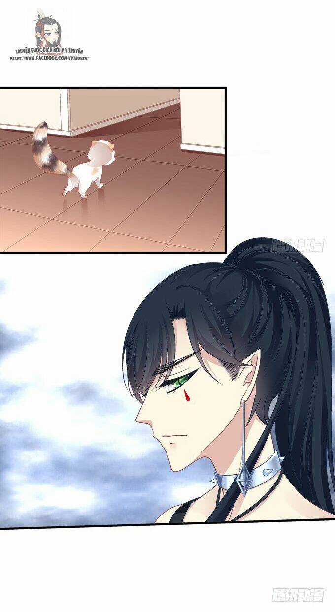 Dụ Hoặc Miêu Yêu - Chapter 186 - Trang 24