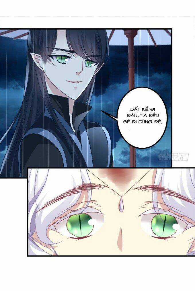 Dụ Hoặc Miêu Yêu - Chapter 192 - Trang 13