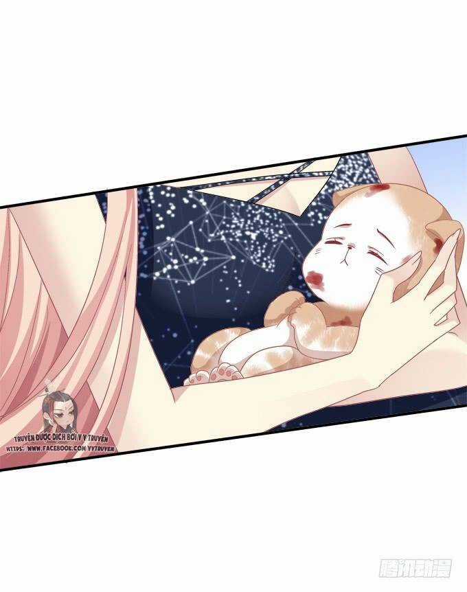 Dụ Hoặc Miêu Yêu - Chapter 193 - Trang 23