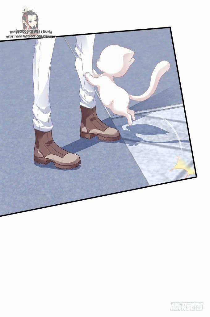 Dụ Hoặc Miêu Yêu - Chapter 195 - Trang 8