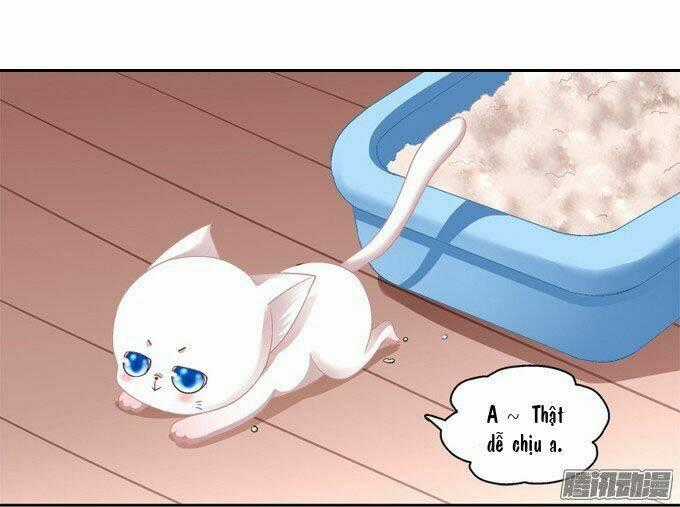 Dụ Hoặc Miêu Yêu - Chapter 2 - Trang 2