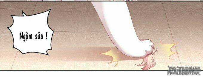 Dụ Hoặc Miêu Yêu - Chapter 2 - Trang 12