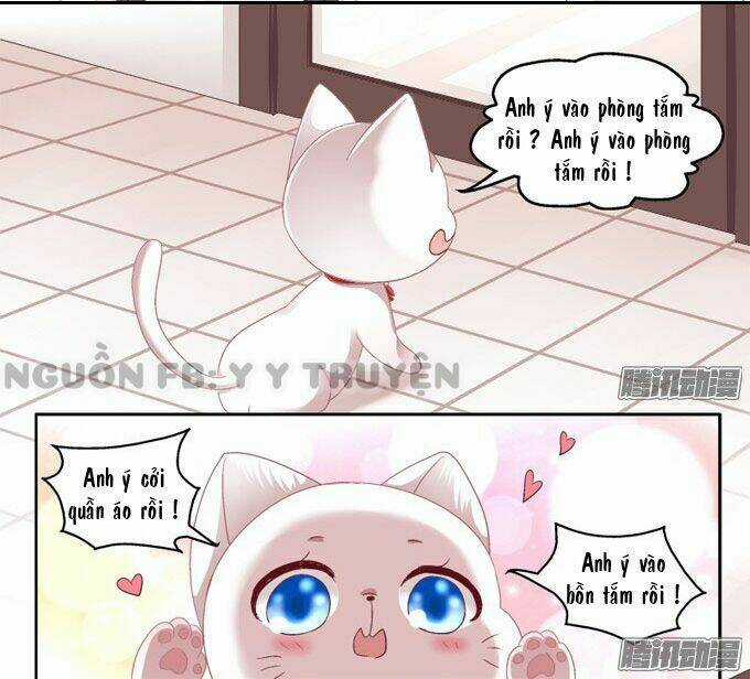 Dụ Hoặc Miêu Yêu - Chapter 2 - Trang 15