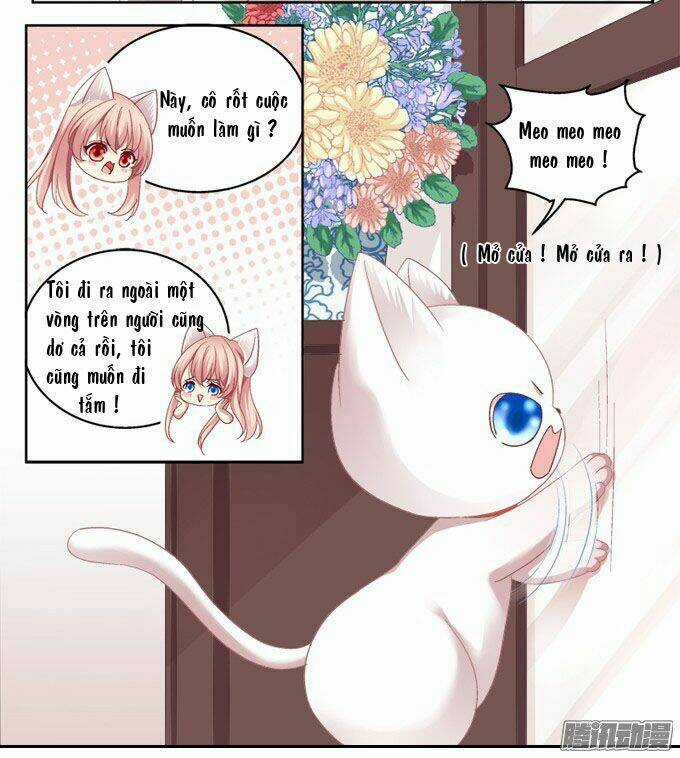 Dụ Hoặc Miêu Yêu - Chapter 2 - Trang 16