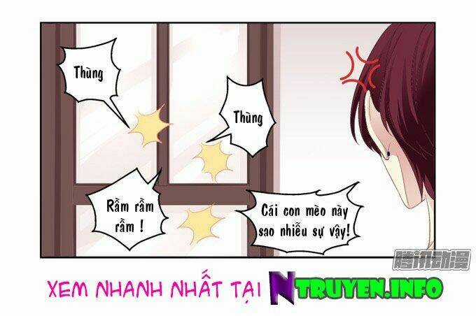 Dụ Hoặc Miêu Yêu - Chapter 2 - Trang 18