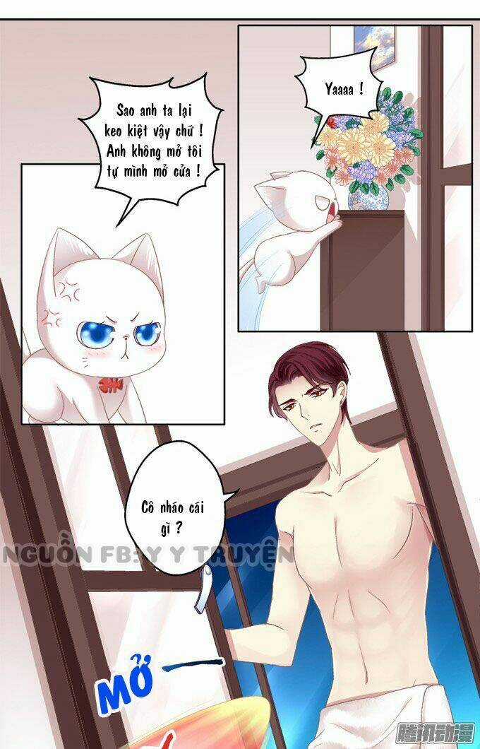 Dụ Hoặc Miêu Yêu - Chapter 2 - Trang 19