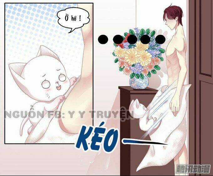 Dụ Hoặc Miêu Yêu - Chapter 2 - Trang 21