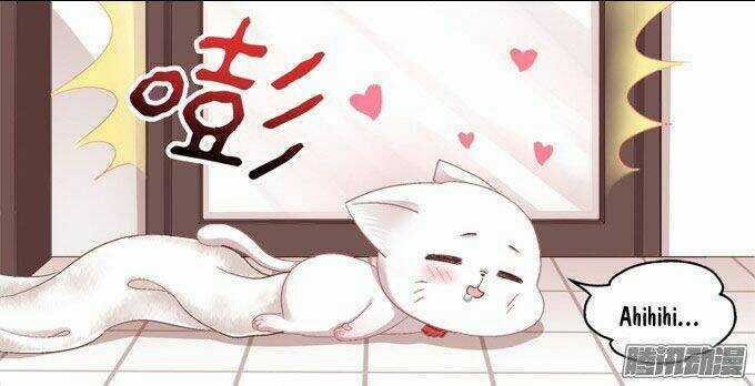 Dụ Hoặc Miêu Yêu - Chapter 2 - Trang 23