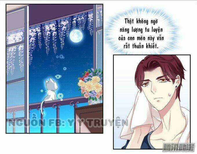 Dụ Hoặc Miêu Yêu - Chapter 2 - Trang 27