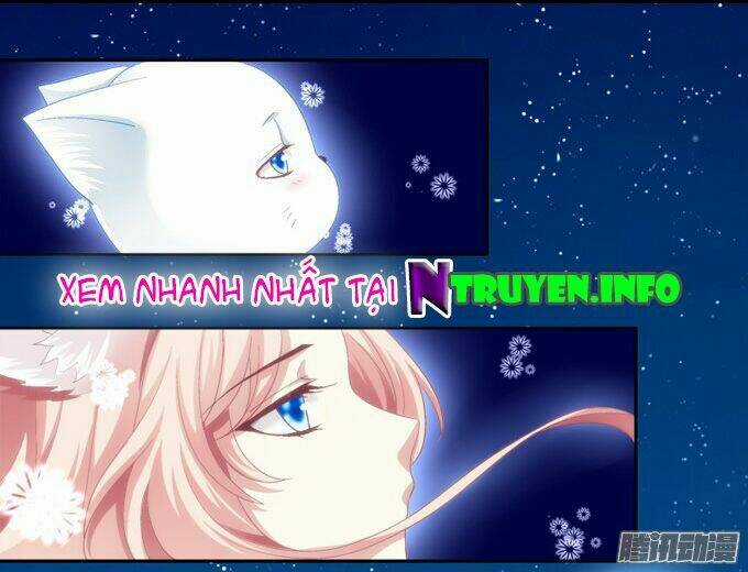 Dụ Hoặc Miêu Yêu - Chapter 2 - Trang 28