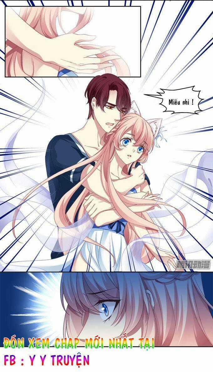 Dụ Hoặc Miêu Yêu - Chapter 2 - Trang 31