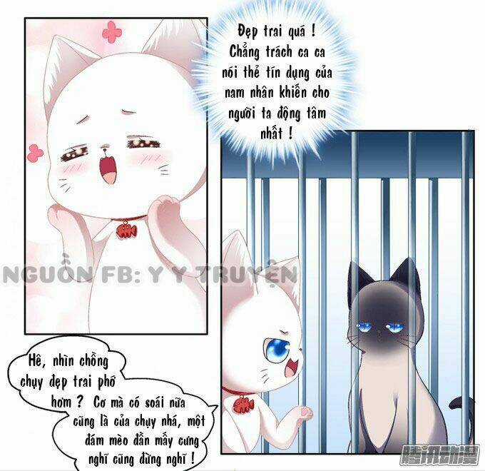 Dụ Hoặc Miêu Yêu - Chapter 2 - Trang 5