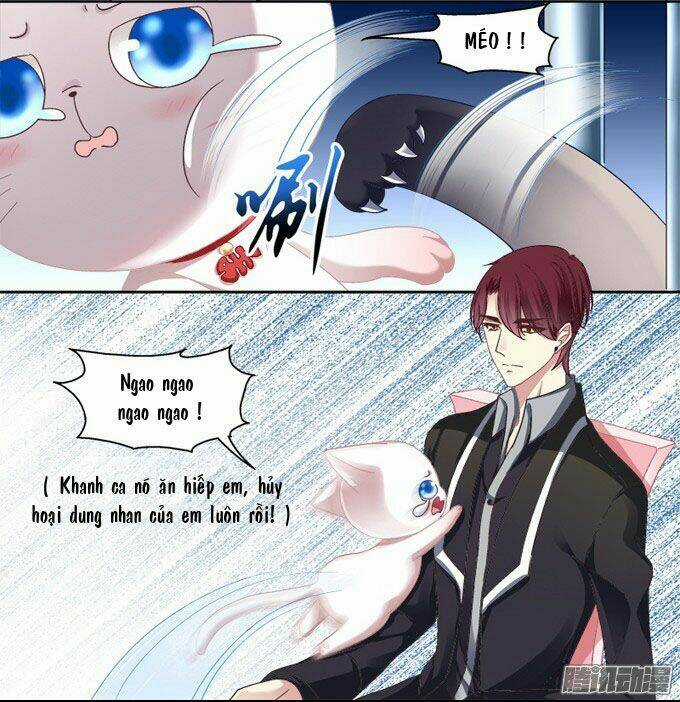 Dụ Hoặc Miêu Yêu - Chapter 2 - Trang 6