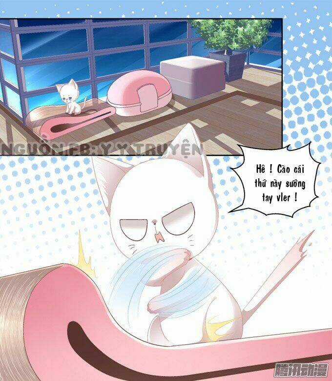 Dụ Hoặc Miêu Yêu - Chapter 2 - Trang 10