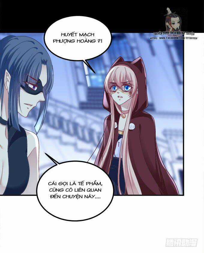 Dụ Hoặc Miêu Yêu - Chapter 203 - Trang 18