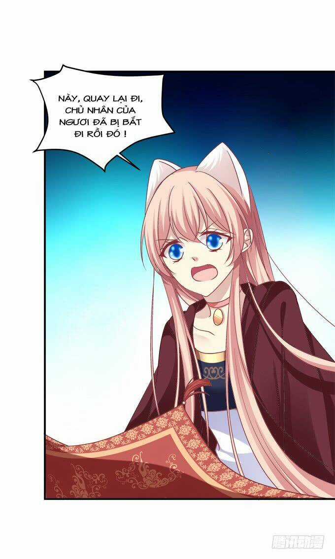 Dụ Hoặc Miêu Yêu - Chapter 206 - Trang 24