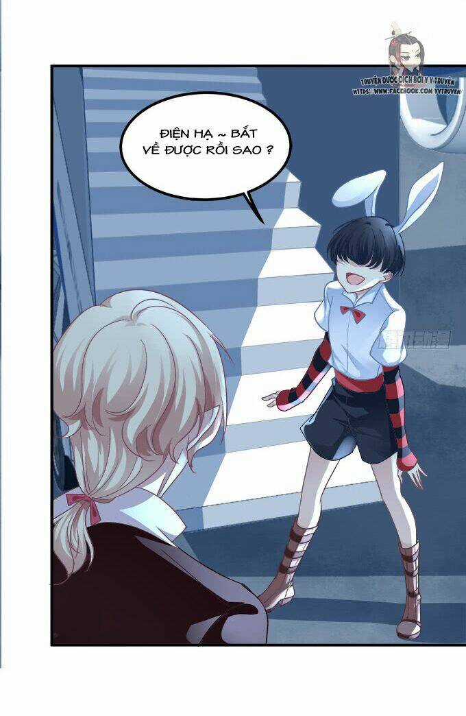 Dụ Hoặc Miêu Yêu - Chapter 206 - Trang 29