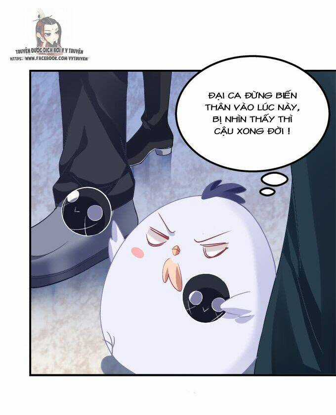 Dụ Hoặc Miêu Yêu - Chapter 206 - Trang 4