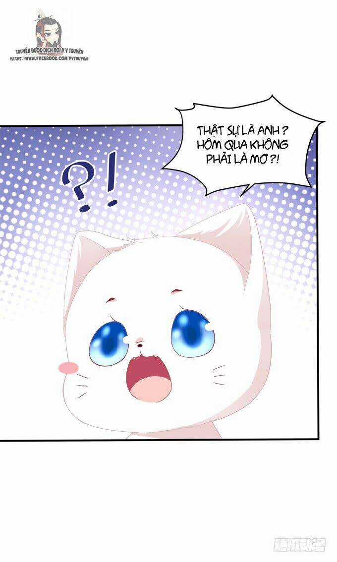 Dụ Hoặc Miêu Yêu - Chapter 208 - Trang 28