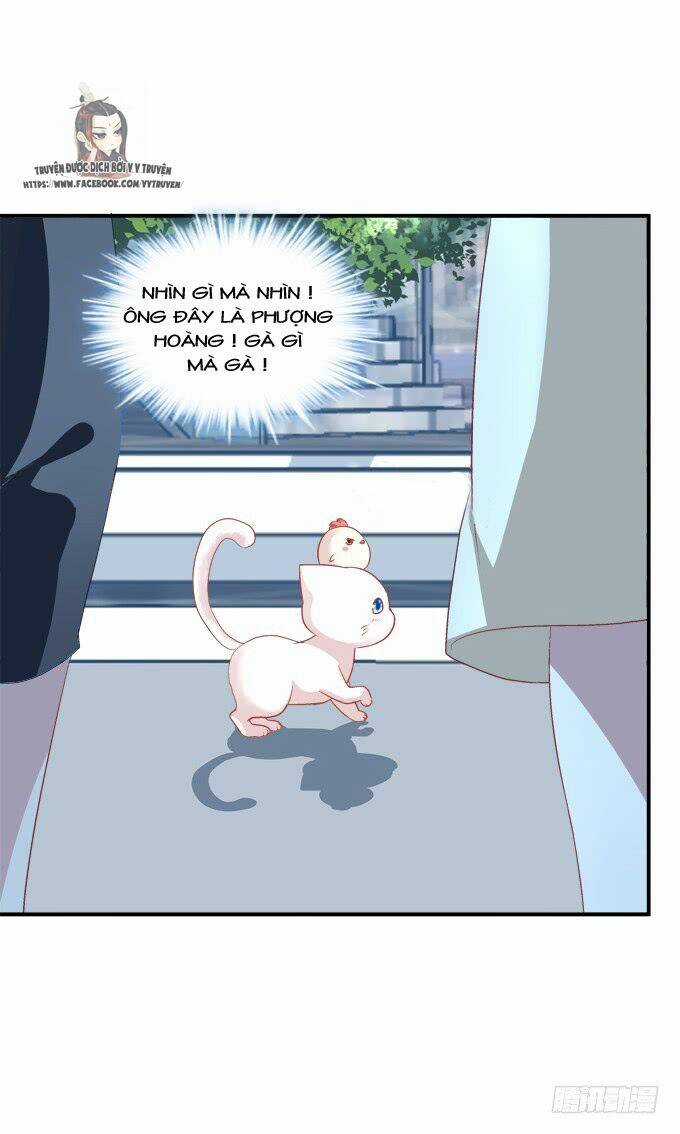 Dụ Hoặc Miêu Yêu - Chapter 208 - Trang 33