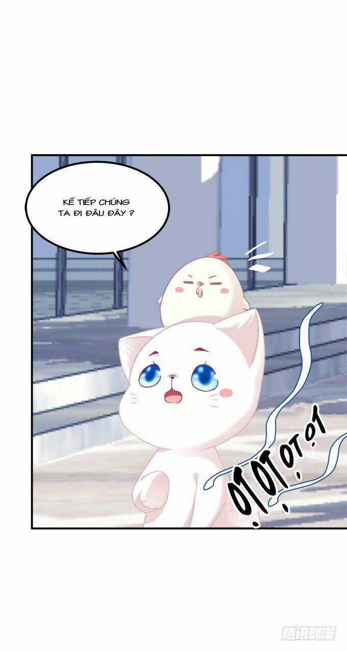 Dụ Hoặc Miêu Yêu - Chapter 208 - Trang 36