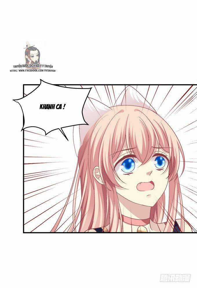 Dụ Hoặc Miêu Yêu - Chapter 208 - Trang 10