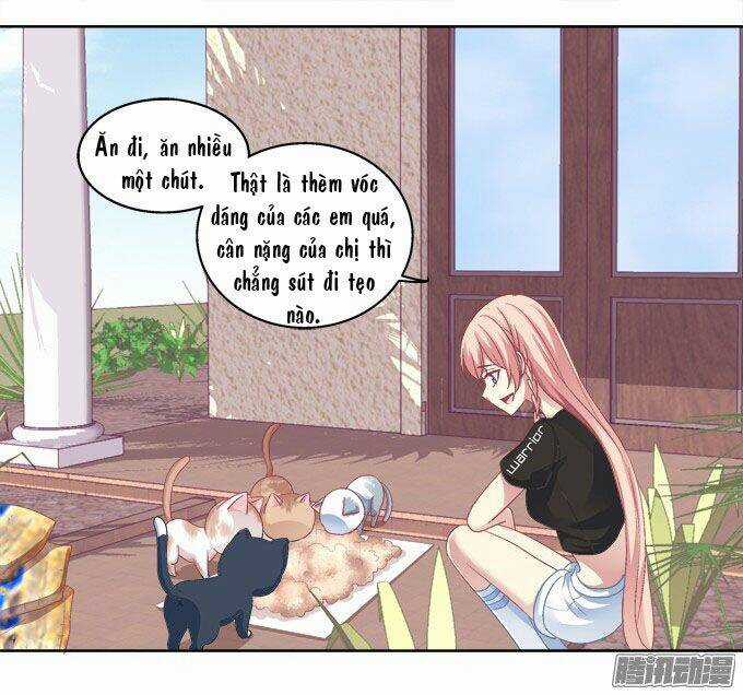 Dụ Hoặc Miêu Yêu - Chapter 21 - Trang 28