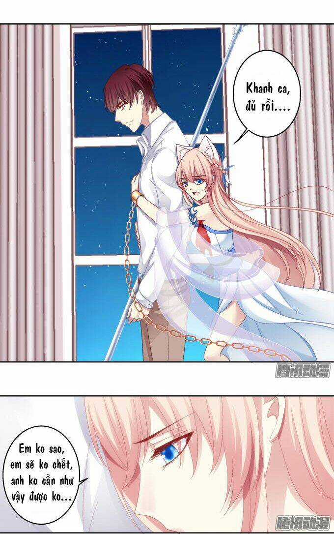 Dụ Hoặc Miêu Yêu - Chapter 25 - Trang 29