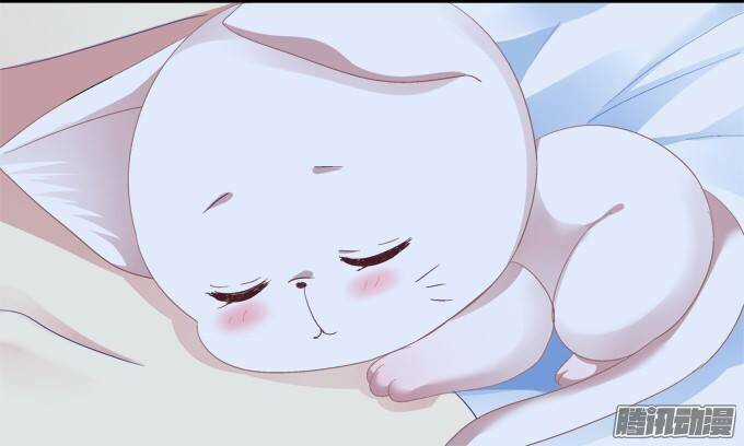 Dụ Hoặc Miêu Yêu - Chapter 3 - Trang 11