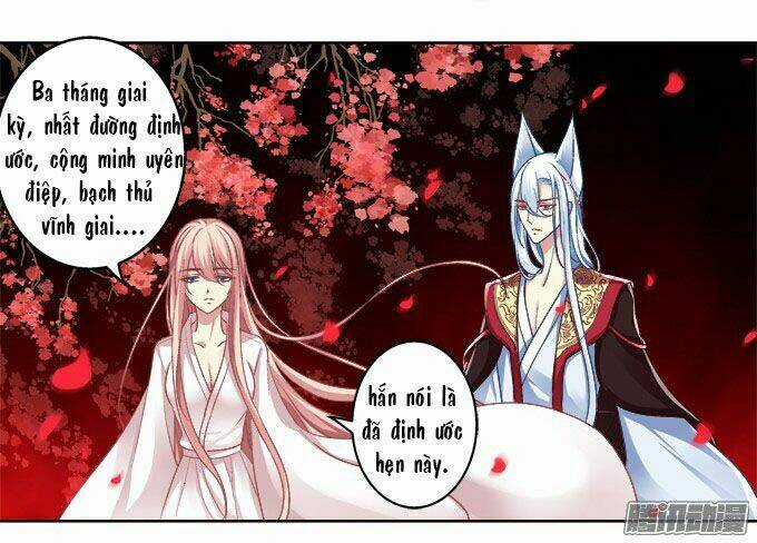 Dụ Hoặc Miêu Yêu - Chapter 4 - Trang 15