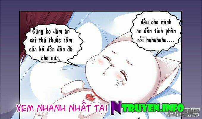 Dụ Hoặc Miêu Yêu - Chapter 4 - Trang 28