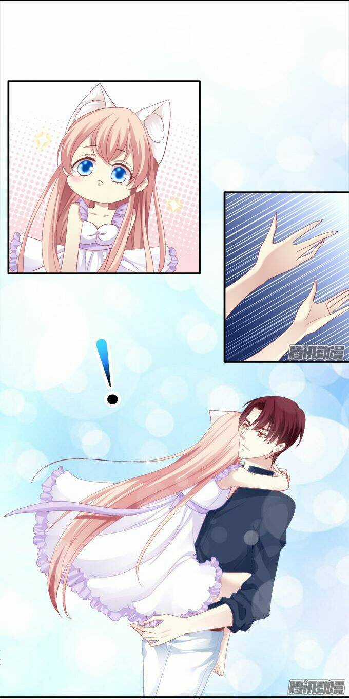 Dụ Hoặc Miêu Yêu - Chapter 40 - Trang 28