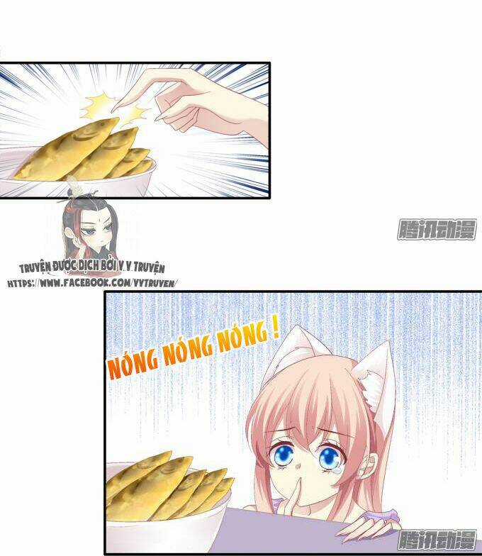 Dụ Hoặc Miêu Yêu - Chapter 41 - Trang 3